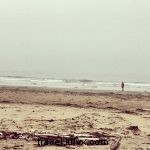 Epic Beach Camping Adventure: Ozette Triangle Loop on Olympic Peninsula