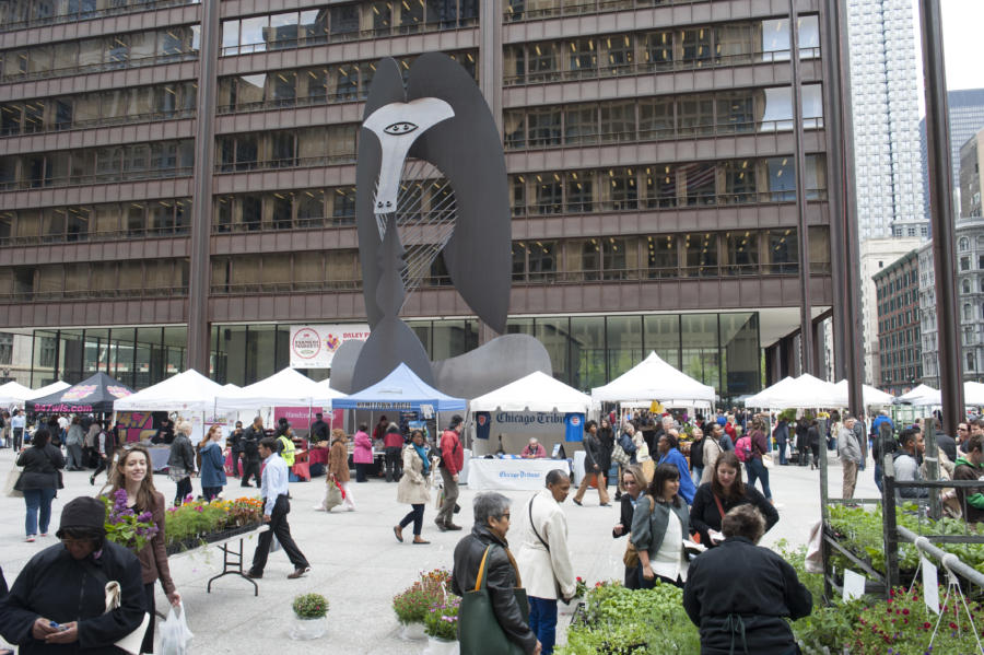 Discover Chicago s Farmers Markets: Fresh Local Produce & Community Vibes