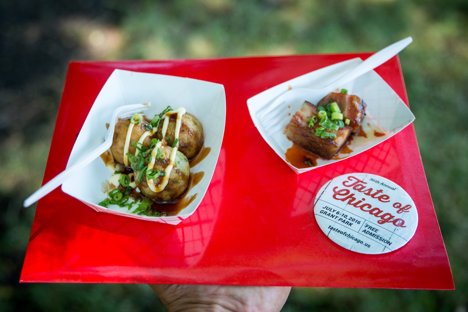 Top Must-Try Foods at Taste of Chicago 2019: Expert Guide