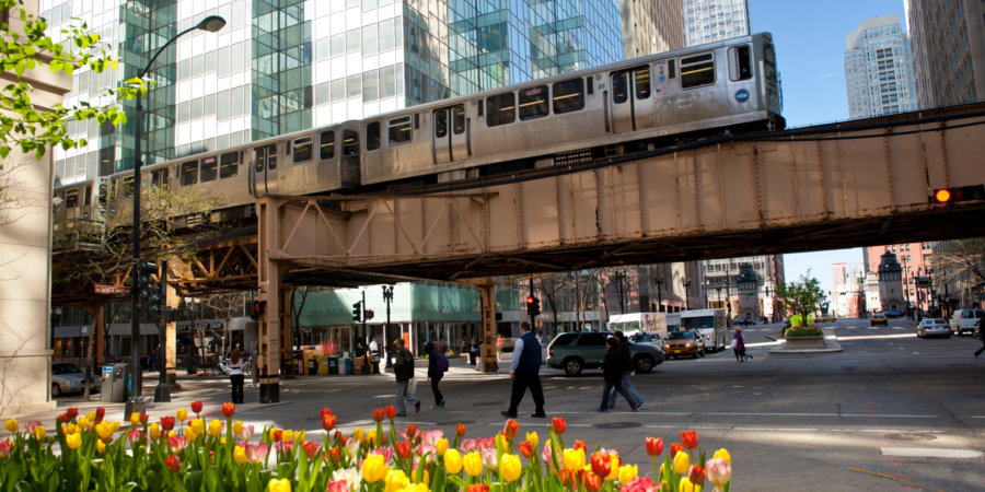 Explore Chicago: Best Bus, Bike & Segway Tours