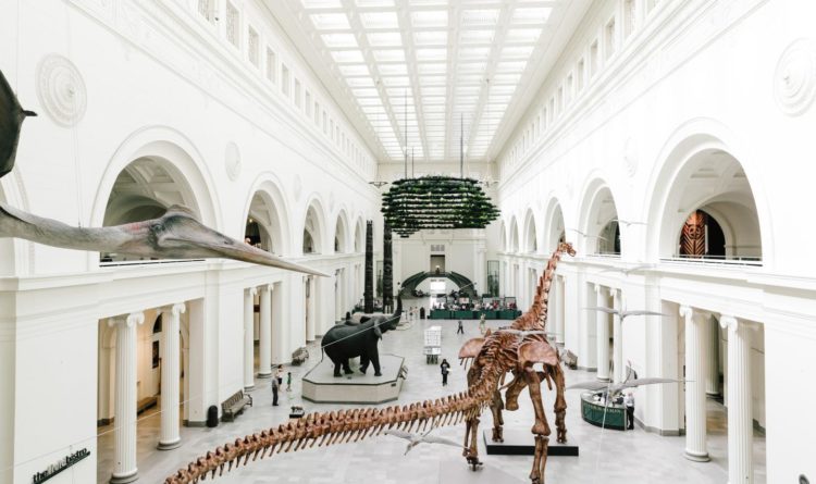 Discover Chicago s Museum Campus: Field Museum, Shedd Aquarium & Adler Planetarium