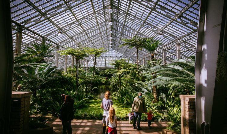 Discover 30 Free Things to Do in Chicago: Budget-Friendly Guide