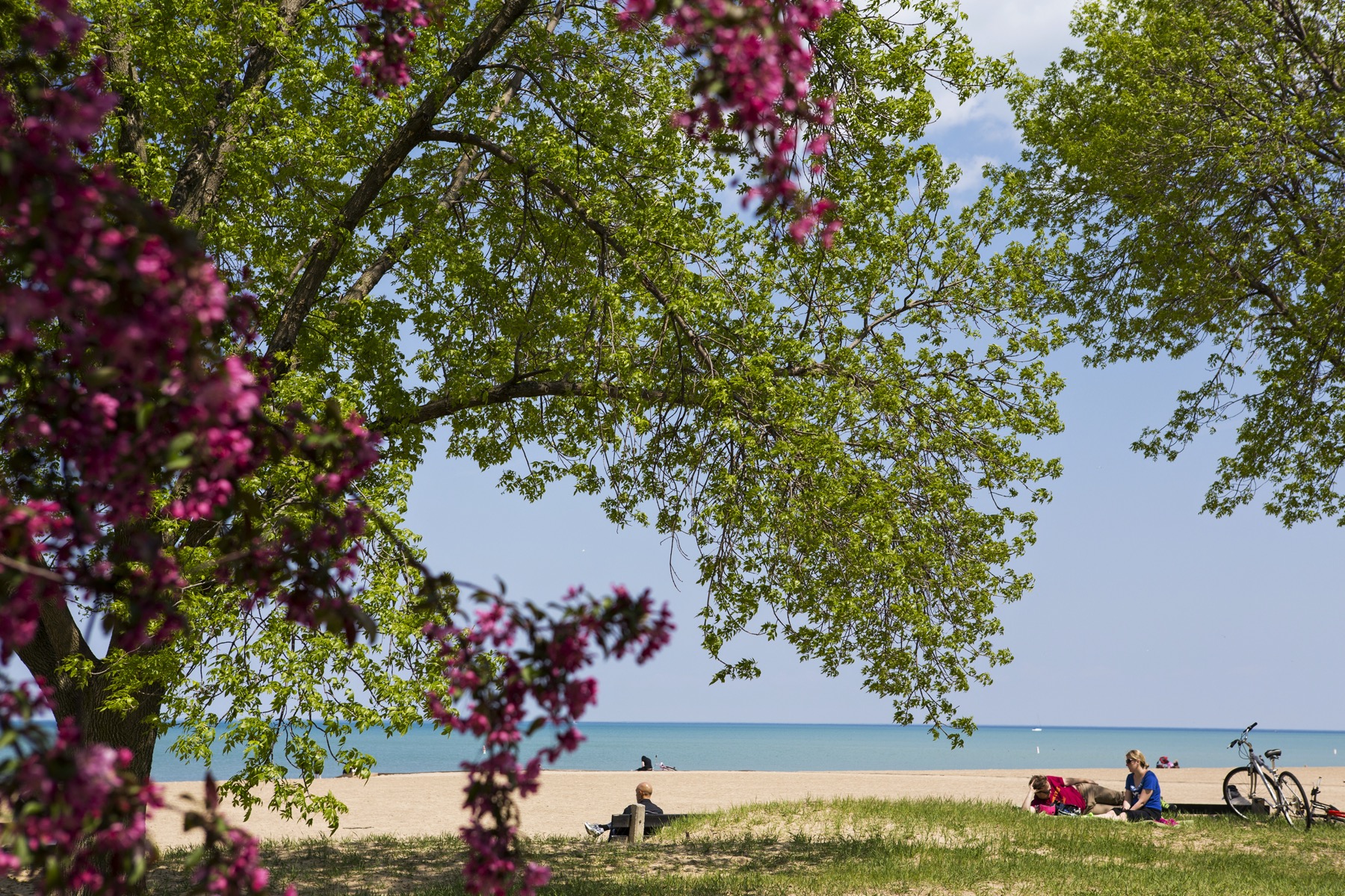 Discover 30 Free Things to Do in Chicago: Budget-Friendly Guide