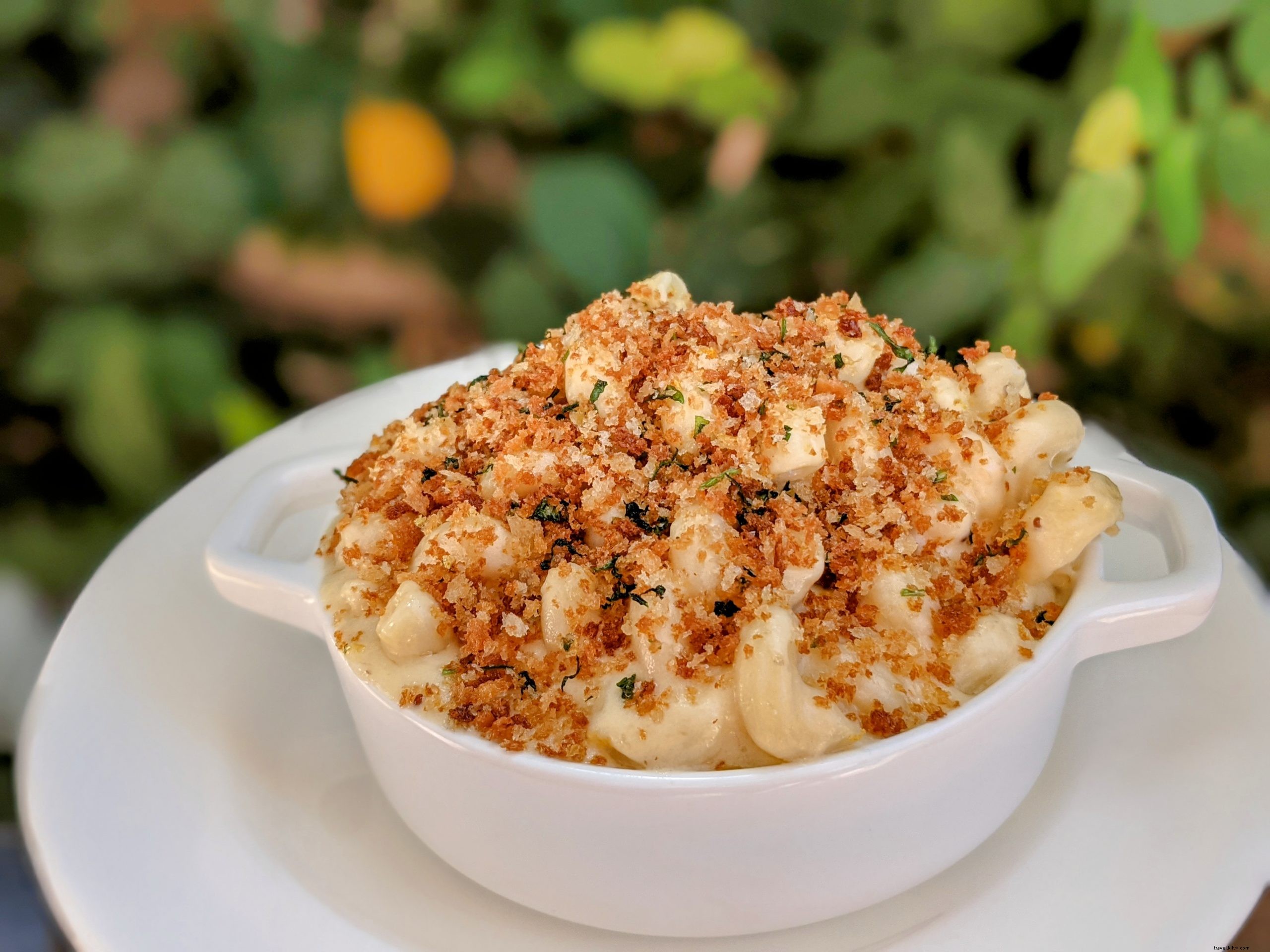 Charleston s Best Mac & Cheese: Top Spots for Ultimate Cheesy Indulgence