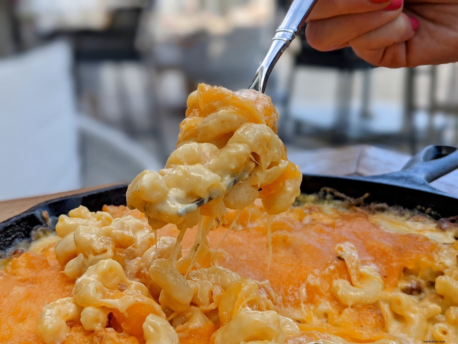 Charleston s Best Mac & Cheese: Top Spots for Ultimate Cheesy Indulgence
