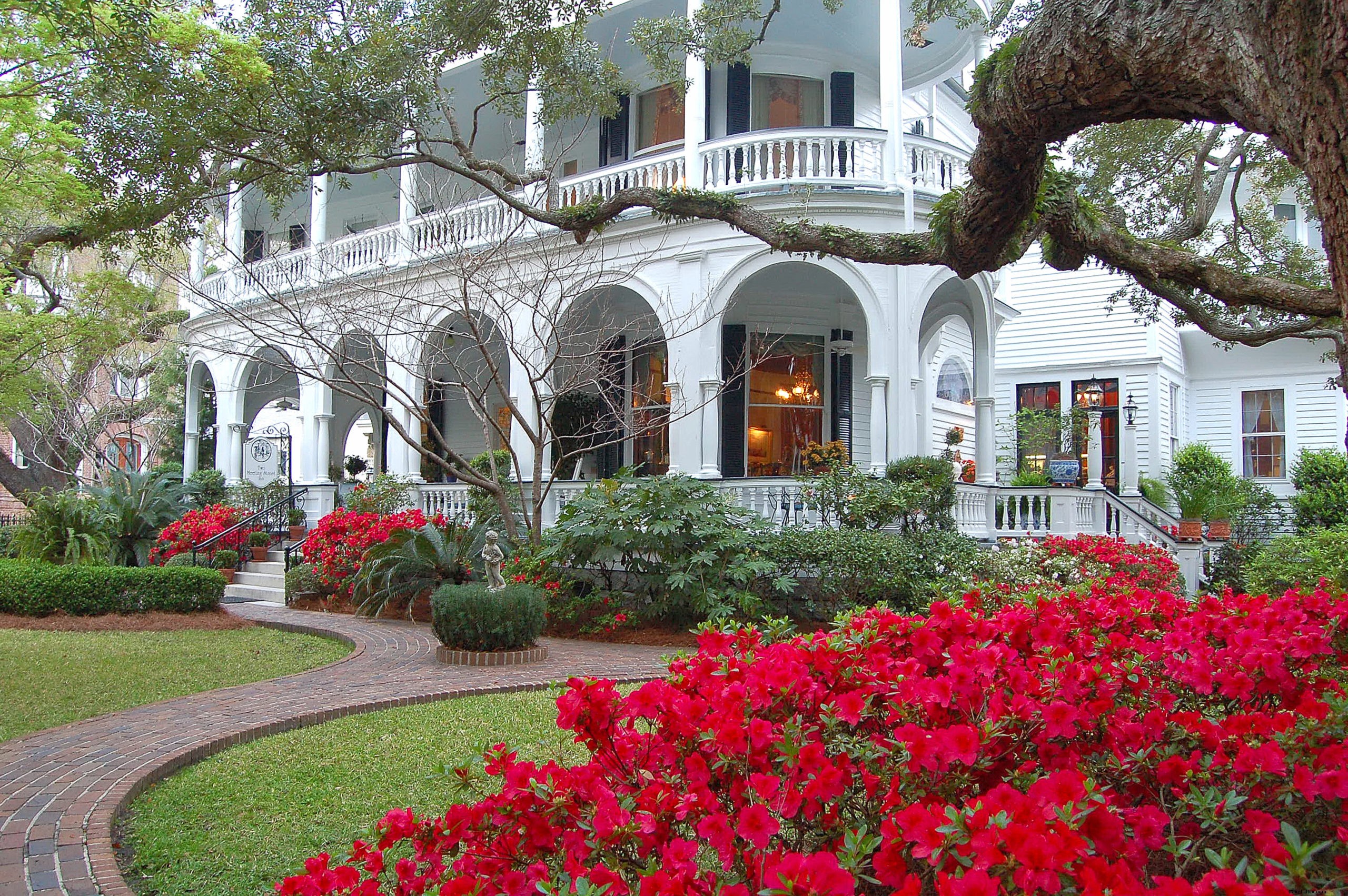 Discover 10 Charming Charleston B&Bs That ll Make You Never Want to Leave
