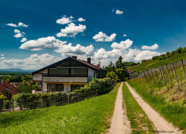 Ultimate 4-Day Zurich Itinerary: City Exploration, Alps & Basel Day Trips