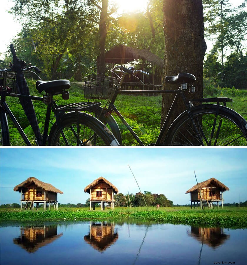 Discover India s Top Holiday Destinations: Insider Guide from a Full-Time Traveler