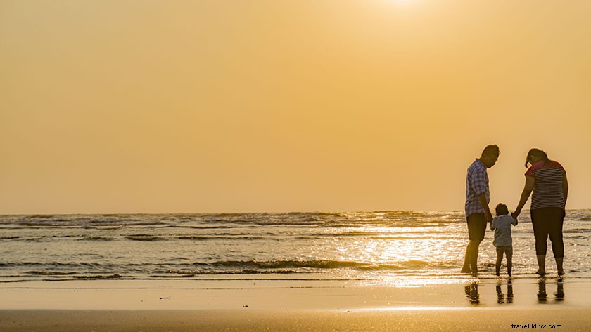 Top 8 Best Beaches in India: Stunning Coastal Paradises to Explore