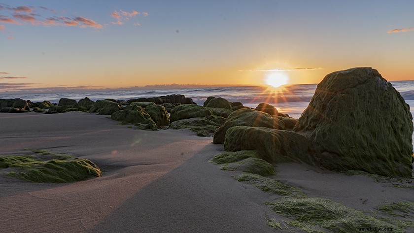 Top 8 Best Beaches in India: Stunning Coastal Paradises to Explore