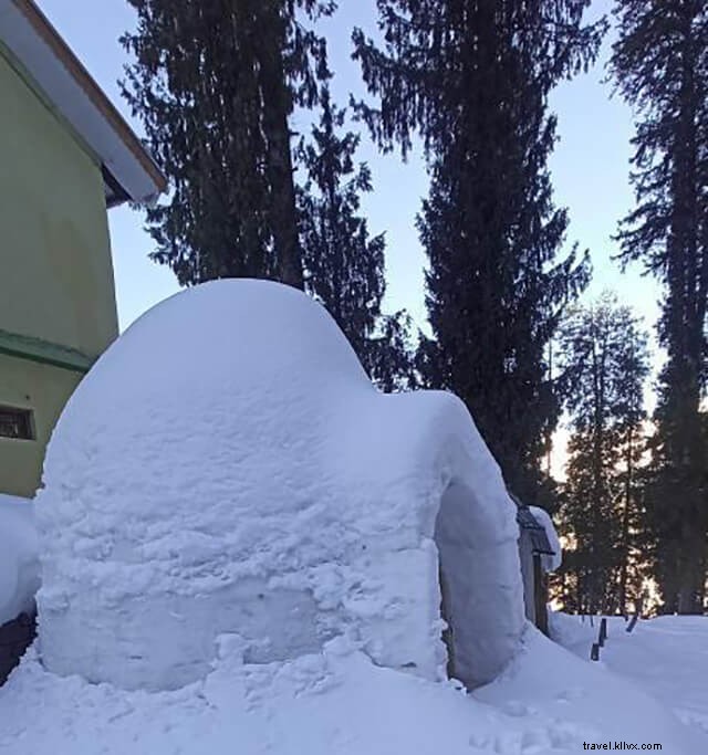 Ultimate Guide to Igloo Stays in Manali s Sethan Valley