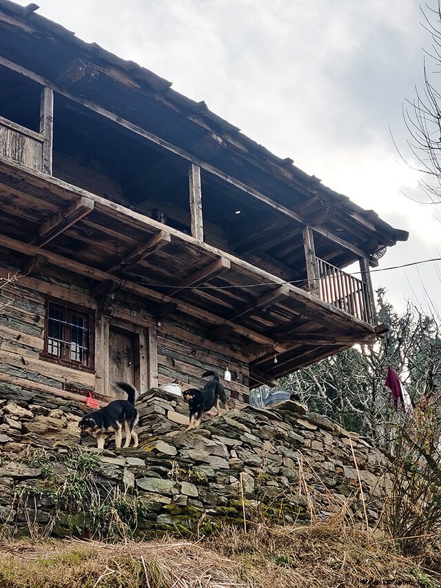 Ultimate Naggar Travel Guide: 4 Months of Insider Tips, Best Eats & Himalayan Views