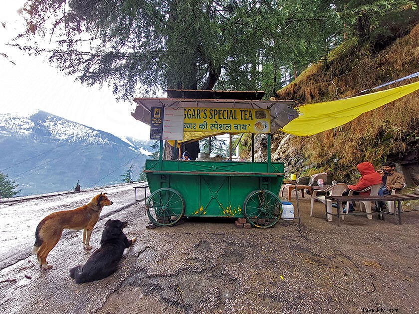 Ultimate Naggar Travel Guide: 4 Months of Insider Tips, Best Eats & Himalayan Views