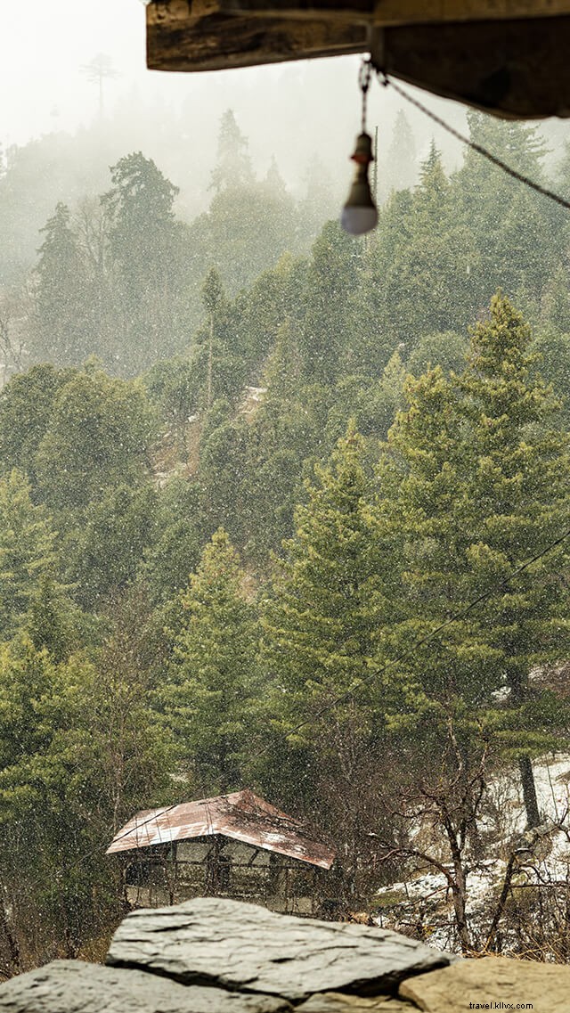 Best Hotels in Naggar, Himachal Pradesh: Ultimate Guide & Reviews