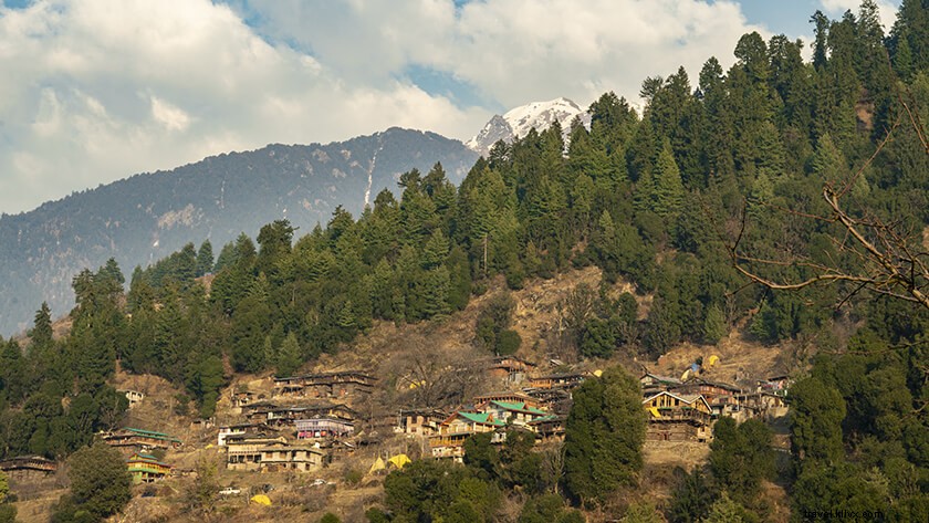 Best Hotels in Naggar, Himachal Pradesh: Ultimate Guide & Reviews