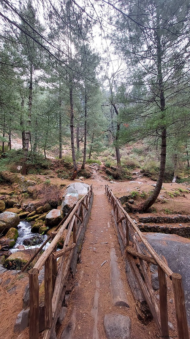 Soil Village (Soyal): The Ultimate Camping Destination in Manali