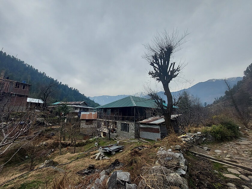 Soil Village (Soyal): The Ultimate Camping Destination in Manali
