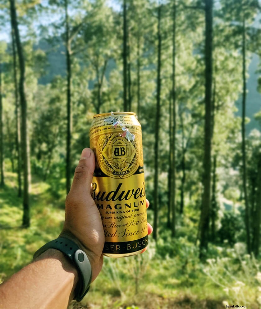 Top 3 Best Places to Stay in Nainital: Escape Crowds for Peaceful Himalayan Bliss