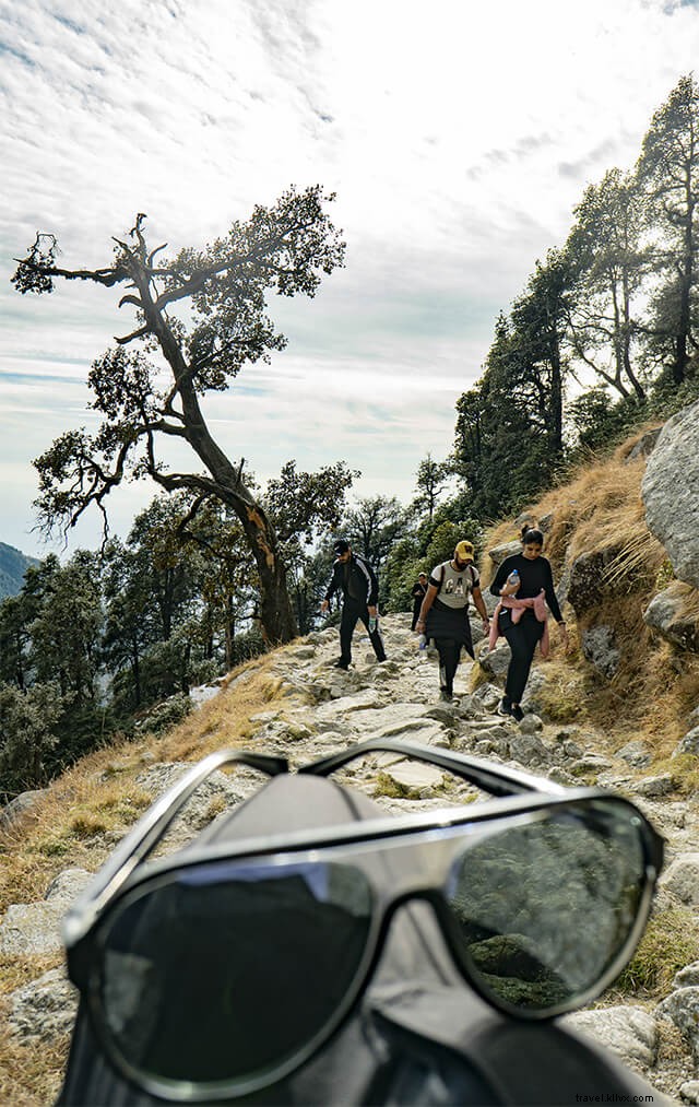 Ultimate Triund Trek Guide: Everything You Need to Know for Dharamshala Adventure