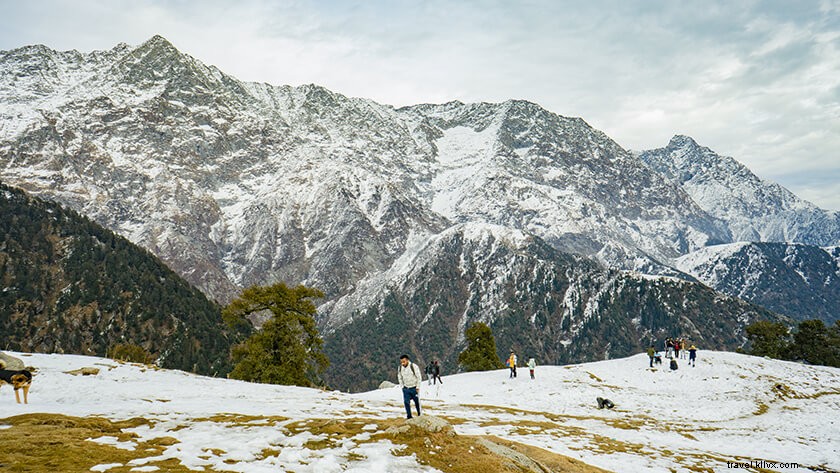 Ultimate Triund Trek Guide: Everything You Need to Know for Dharamshala Adventure