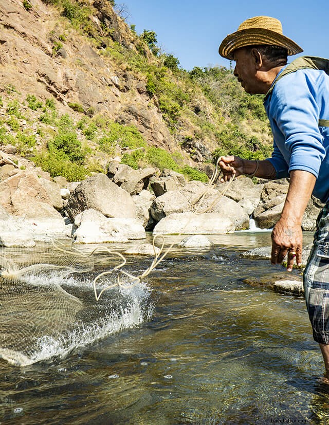 Authentic Village Experience in Nalini, Chamba, Himachal Pradesh