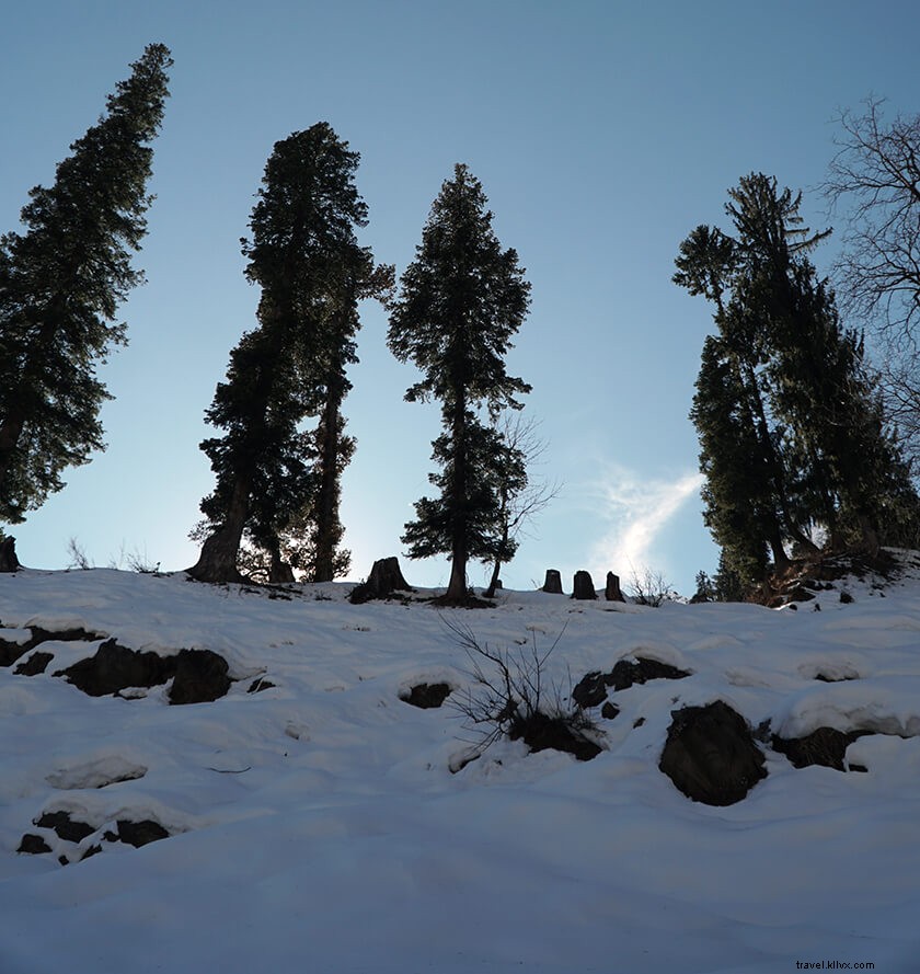 Manali to Atal Tunnel: Ultimate Guide with Best Itinerary & Lahaul Valley Tips