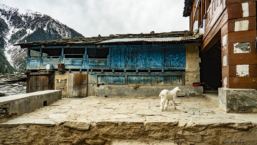 Discover Kugti: The Remotest Village in Chamba, Himachal Pradesh