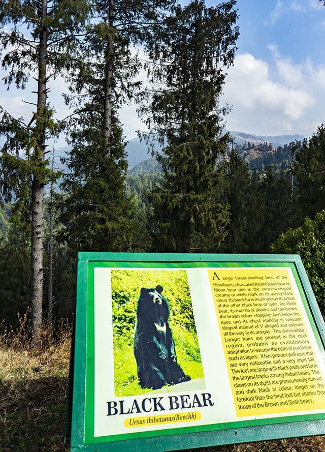 Top Places to Visit Near Dalhousie: Ultimate One-Day Itinerary