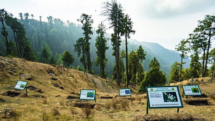 Top Places to Visit Near Dalhousie: Ultimate One-Day Itinerary