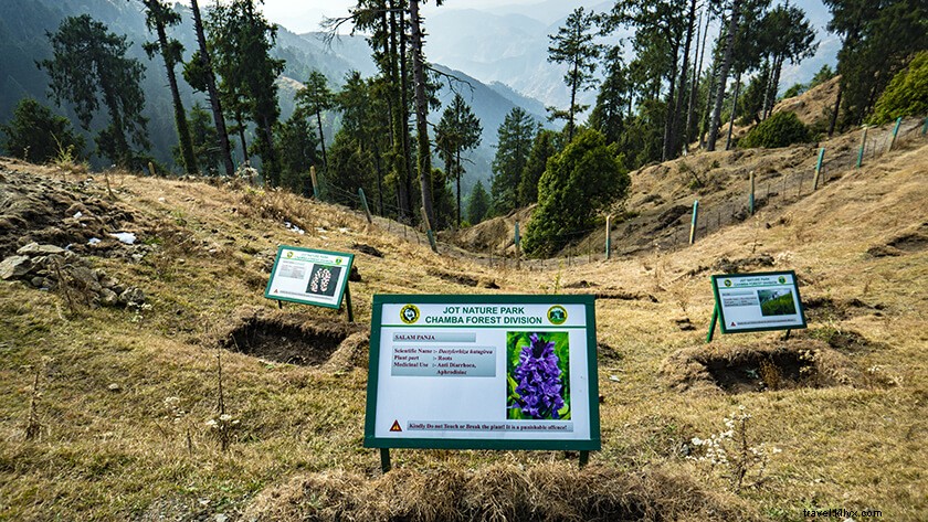 Top Places to Visit Near Dalhousie: Ultimate One-Day Itinerary