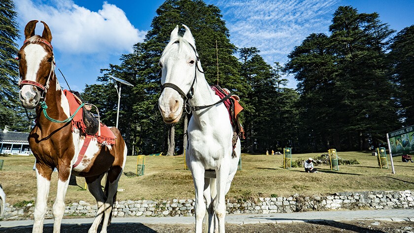 Top Places to Visit Near Dalhousie: Ultimate One-Day Itinerary