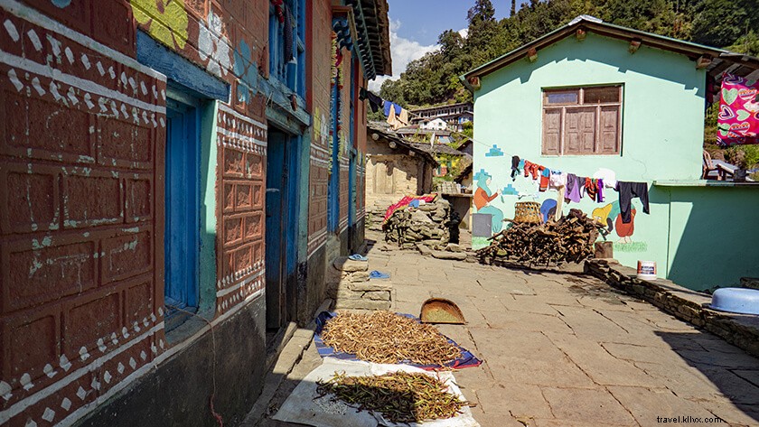 Discover Khati Village: Uttarakhand s Himalayan Gem of Nature, Graffiti Art & Adventure