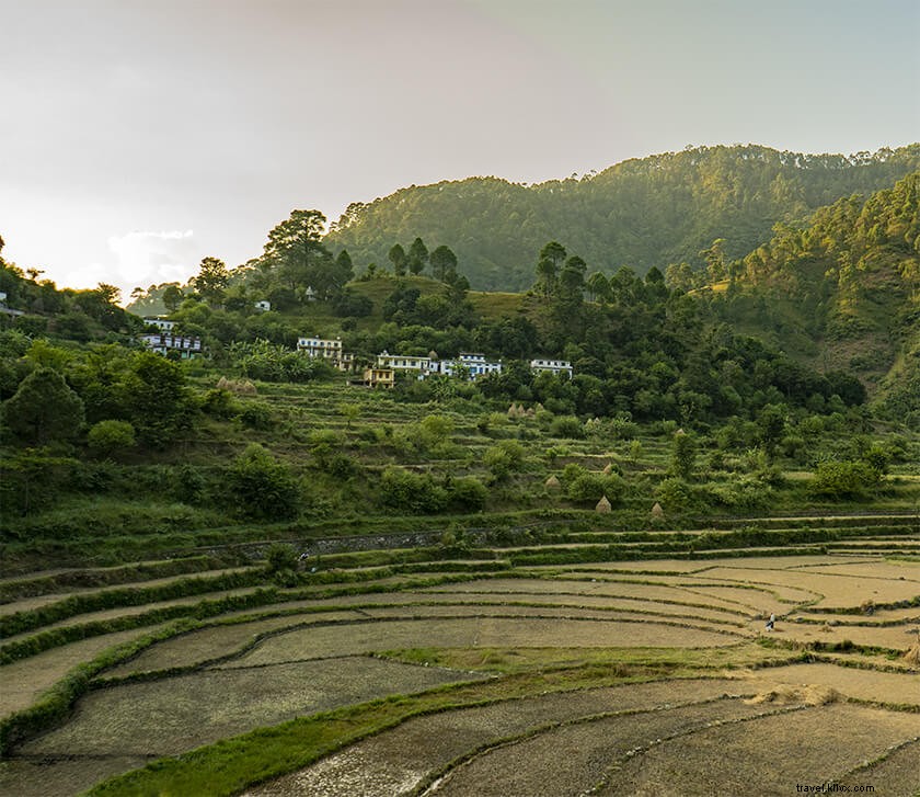 Kholsir Village: Premier Camping Destination Near Binsar Wildlife Sanctuary