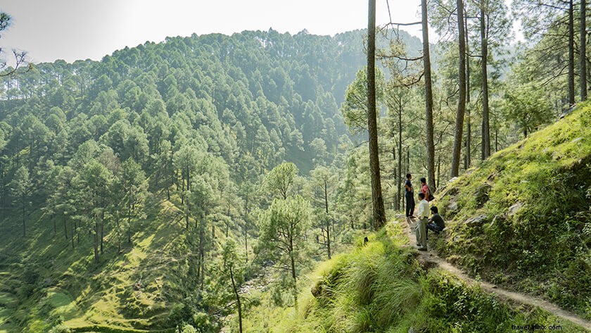 Kholsir Village: Premier Camping Destination Near Binsar Wildlife Sanctuary