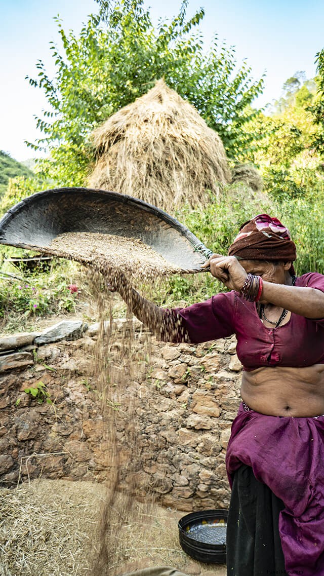 Kholsir Village: Premier Camping Destination Near Binsar Wildlife Sanctuary