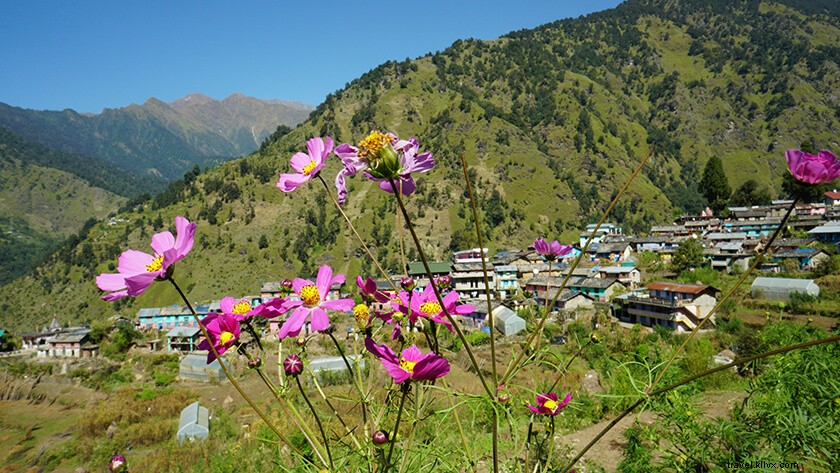 Pindari Glacier Trek: Complete 5-Day Itinerary and Essential Guide