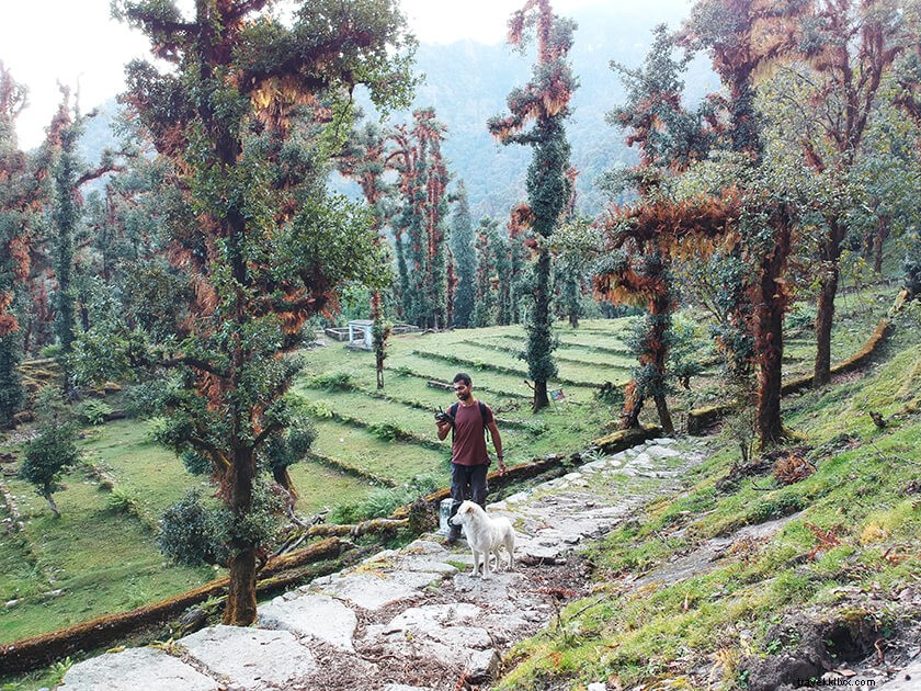 Pindari Glacier Trek: Complete 5-Day Itinerary and Essential Guide