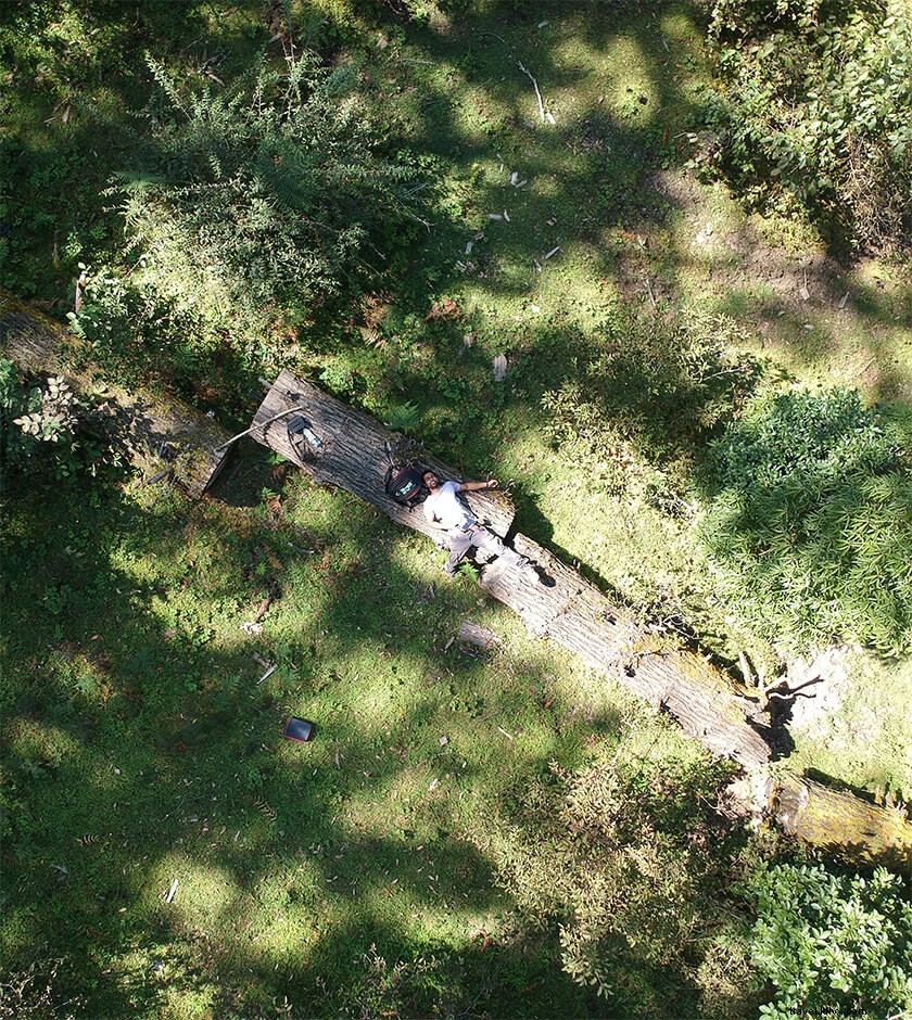 Pindari Glacier Trek: Complete 5-Day Itinerary and Essential Guide