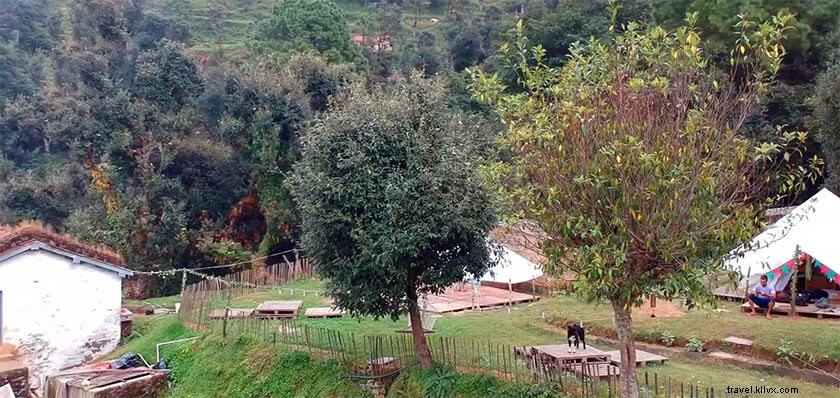 Discover Jangalia Gaon: Serene Offbeat Haven Near Bhimtal