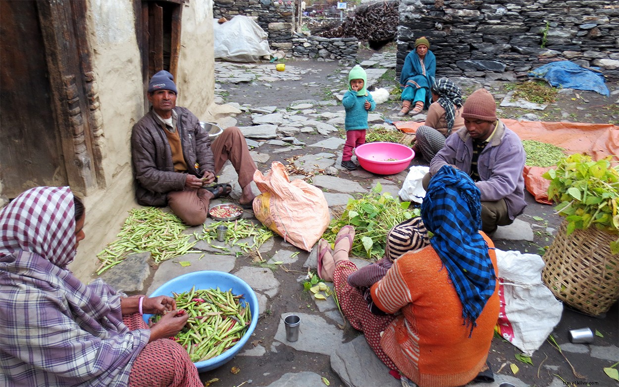 Panchachuli Base Camp Trek: Complete Itinerary, Costs & Essential Guide