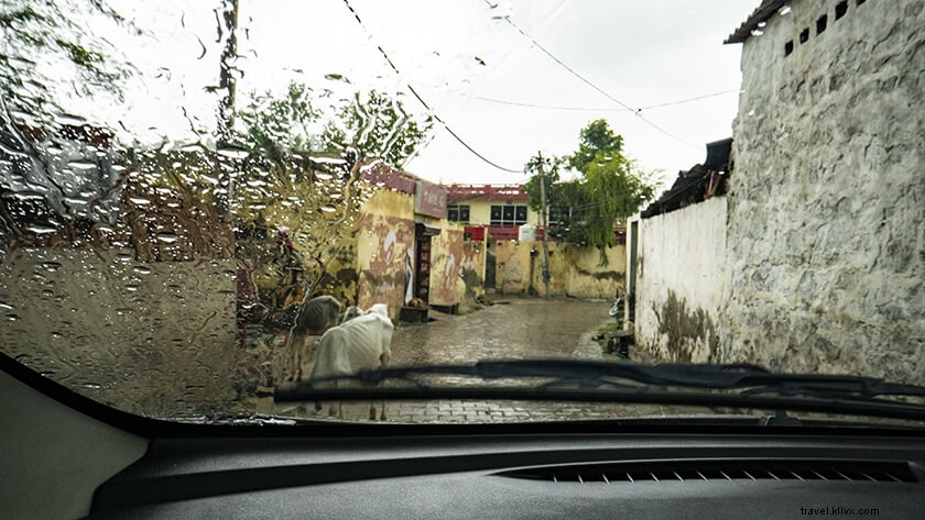 Discover Mangar Bani: A Scenic Tourist Haven in Delhi NCR