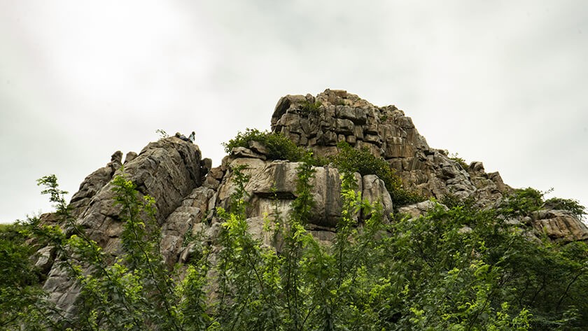 Discover Mangar Bani: A Scenic Tourist Haven in Delhi NCR