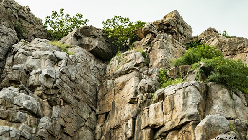 Discover Mangar Bani: A Scenic Tourist Haven in Delhi NCR