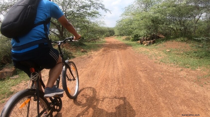 Discover Mangar Bani: A Scenic Tourist Haven in Delhi NCR