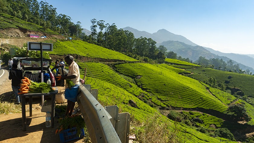 Ultimate Munnar Travel Guide: Top Attractions, Best Time to Visit, Hotels & Insider Tips