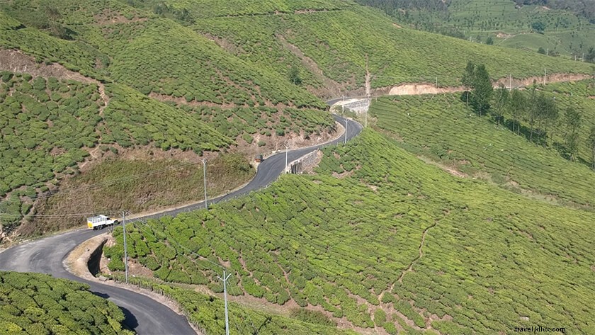 Why Coimbatore to Munnar is the Superior Road Trip Over Kochi to Munnar
