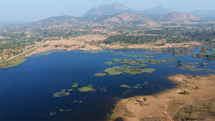 Bangalore to Munnar: Ultimate Travel Guide with Best Routes, Tips & Itinerary