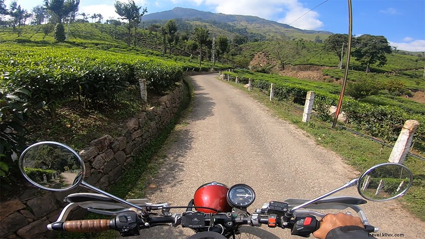 Bangalore to Munnar: Ultimate Travel Guide with Best Routes, Tips & Itinerary