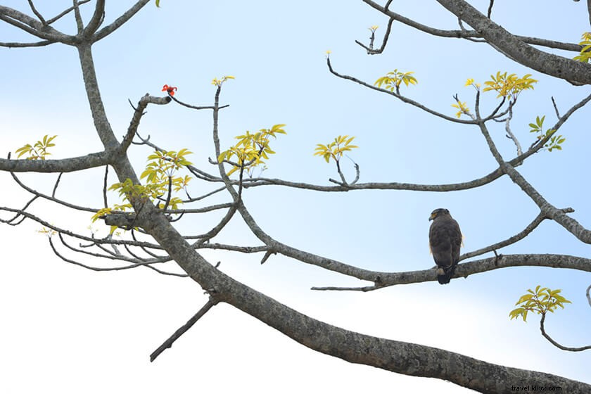 Discover 50 Stunning Bodoland Photos: Dwijing Festival, Manas National Park & Bodo Villages