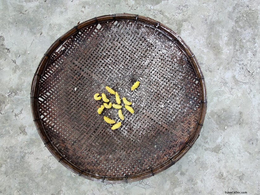 Discover 50 Stunning Bodoland Photos: Dwijing Festival, Manas National Park & Bodo Villages